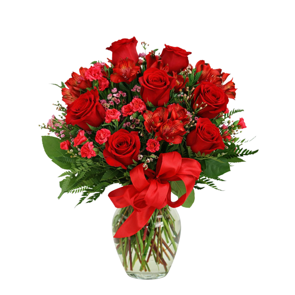 Red Beauty