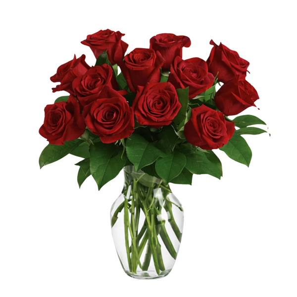 12 RED ROSES