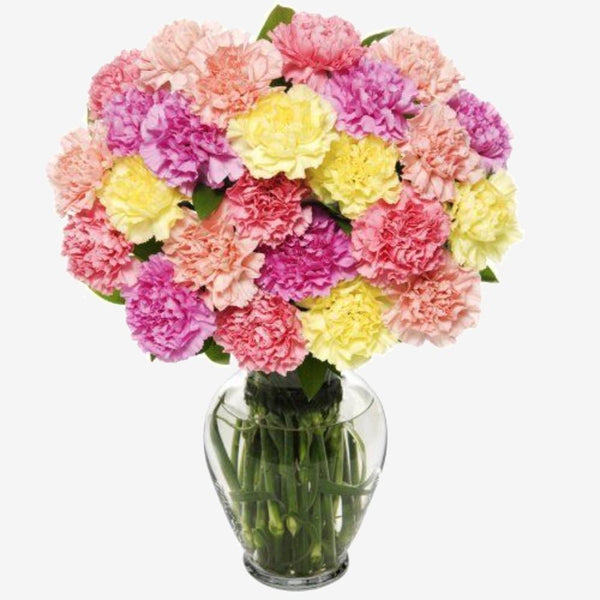Two Dozen Colorful Carnations